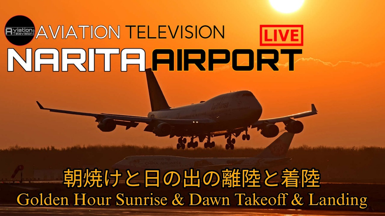[🔴 LIVE] NARITA INTERNATIONAL AIRPORT LIVE|成田国際空港ライブ配信中|PLANE SPOTTING|2026|02|16