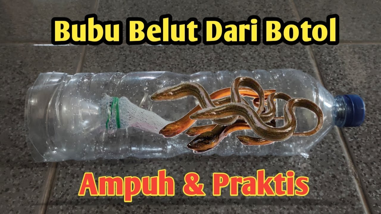 Cara membuat bubu belut dari botol bekas, praktis!