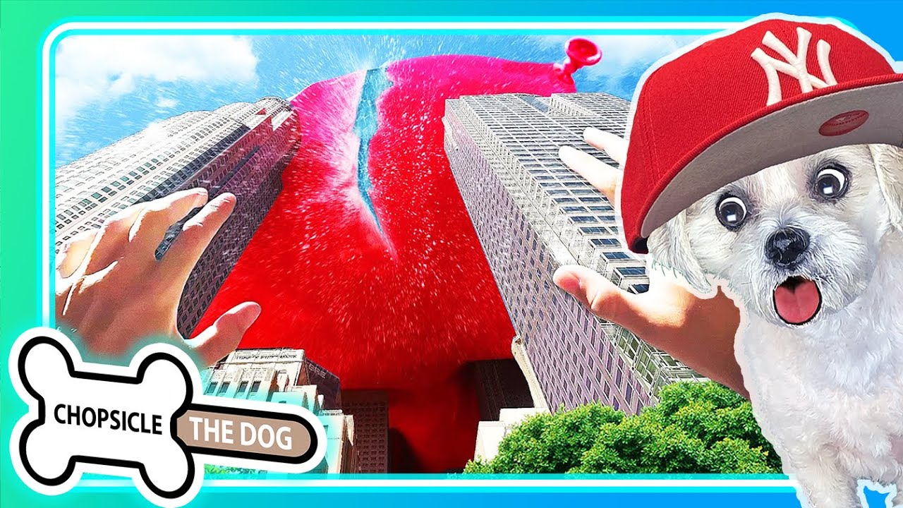 Massive Water Balloon! Reacting to Giant Water Balloon by Buttered Side Down - Chopsicle the Dog