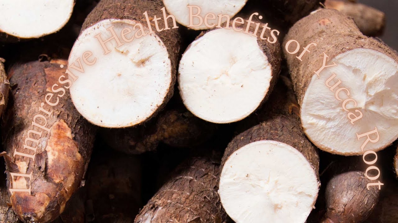 11 Impressive Health Benefits of Yucca Root