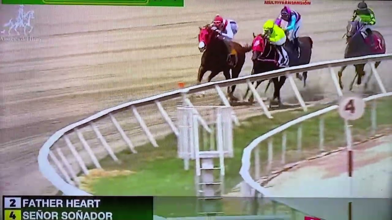 Señor Soñador 🇻🇪 con Francisco Quevedo le puso para ganar 