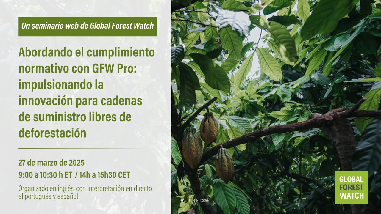 Abordando el cumplimiento normativo con GFW Pro