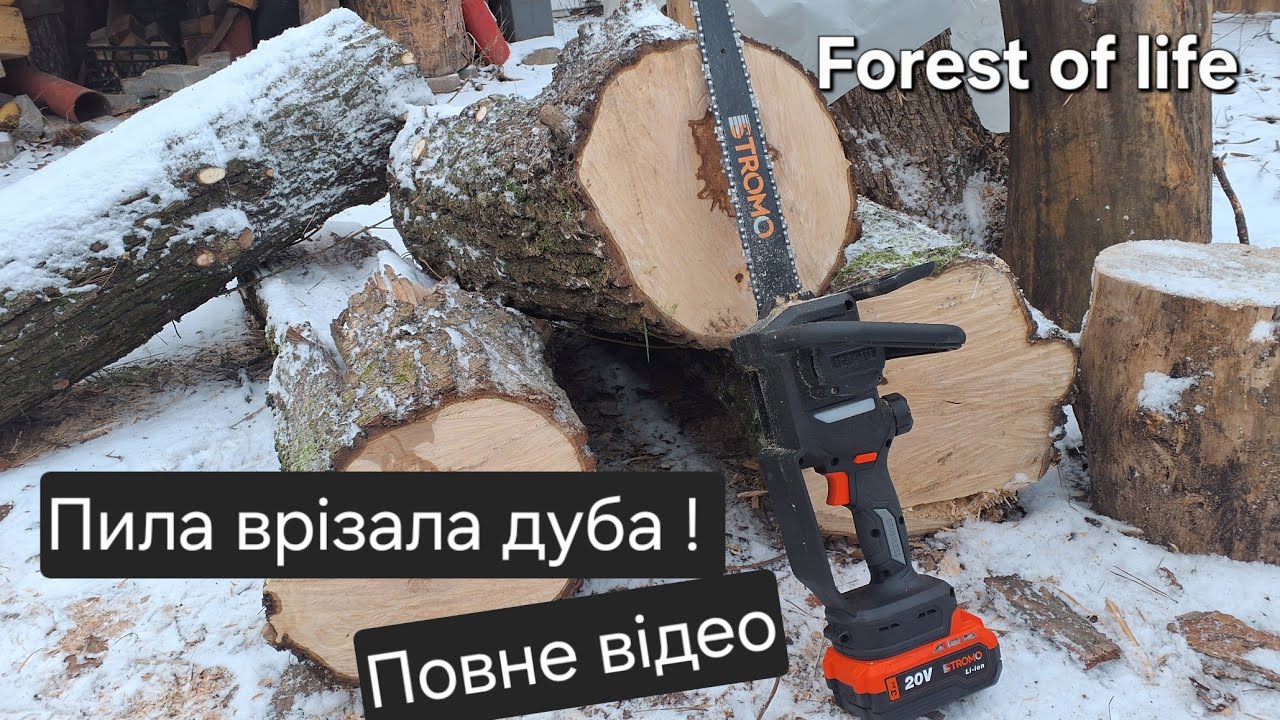 Електропила stromo врізала дуба!? Бензопила мережевапила grosser metabo стромо edon 