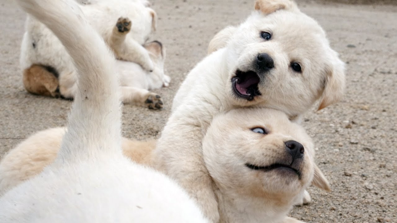 [활발] 나도 모르게 웃고 있었어요 🟡