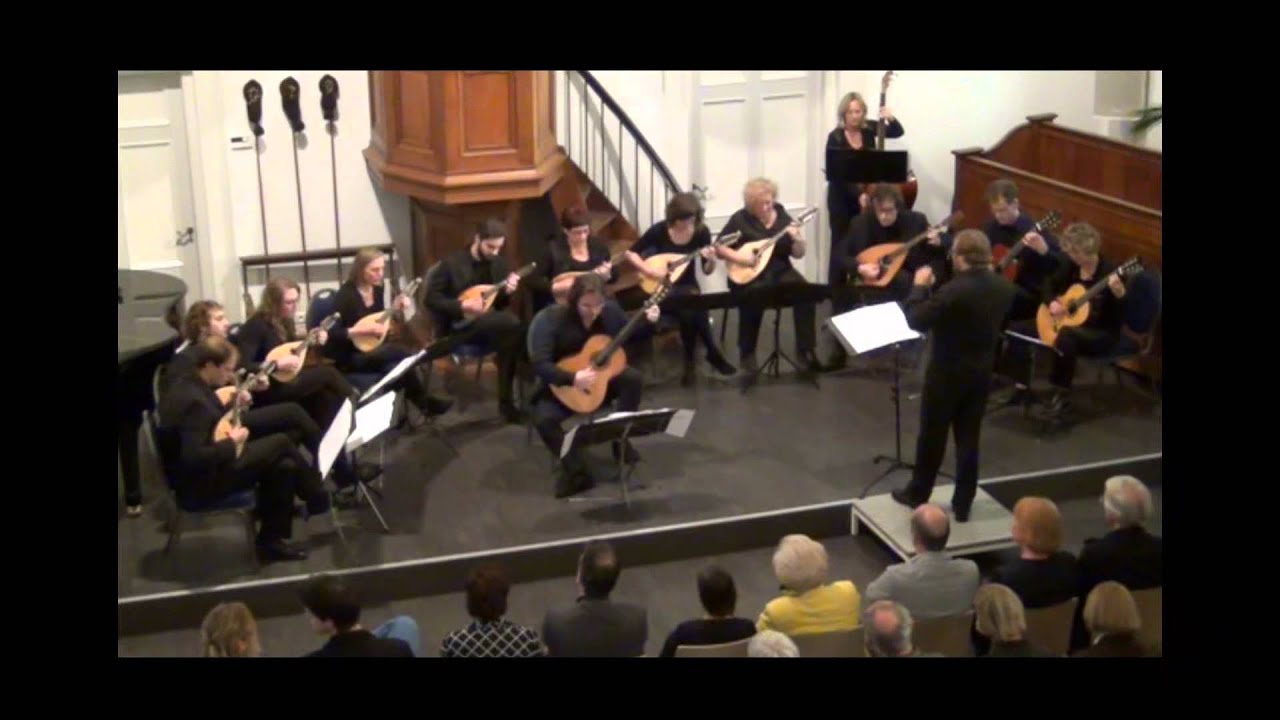 Guitar Concerto by Chris Mouter performed by Tom Edskes & The Mandolin Chamber Orchestra Het CONSORT