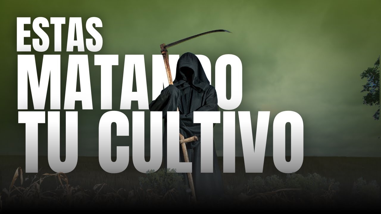 El impacto de las malas prácticas y el mito de los fitosanitarios