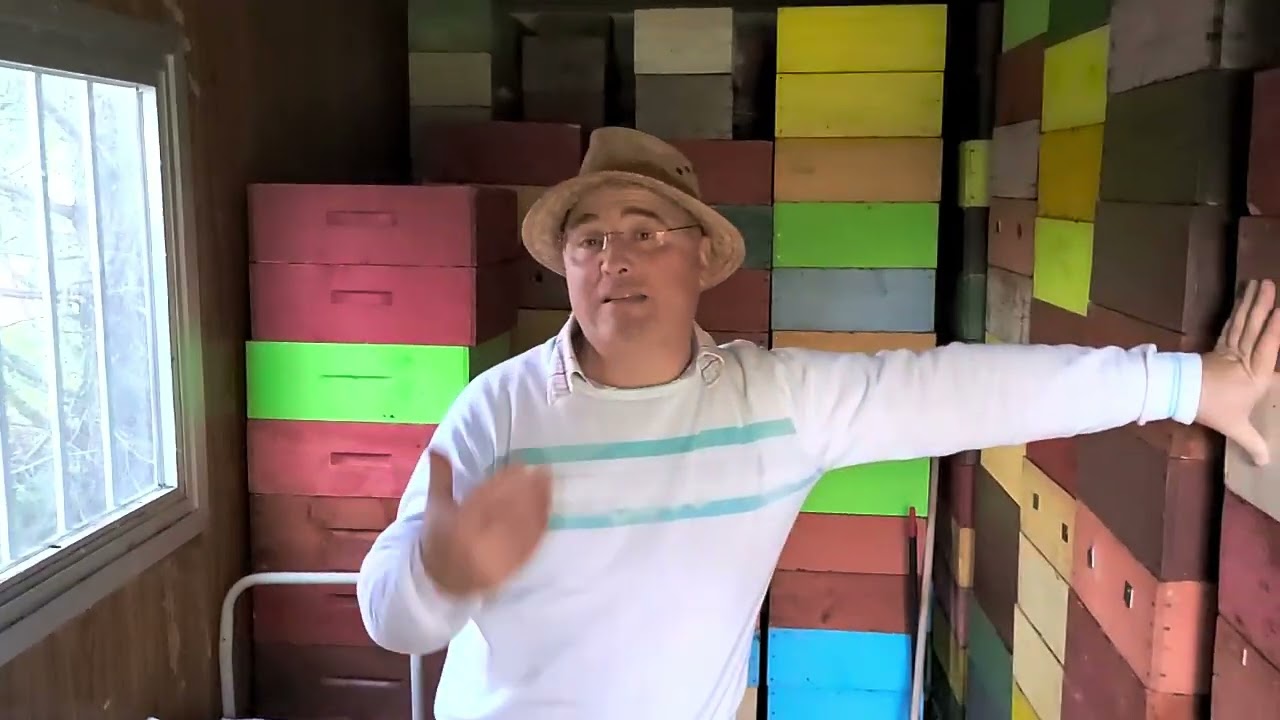 Apicoltura: la conservazione dei melari