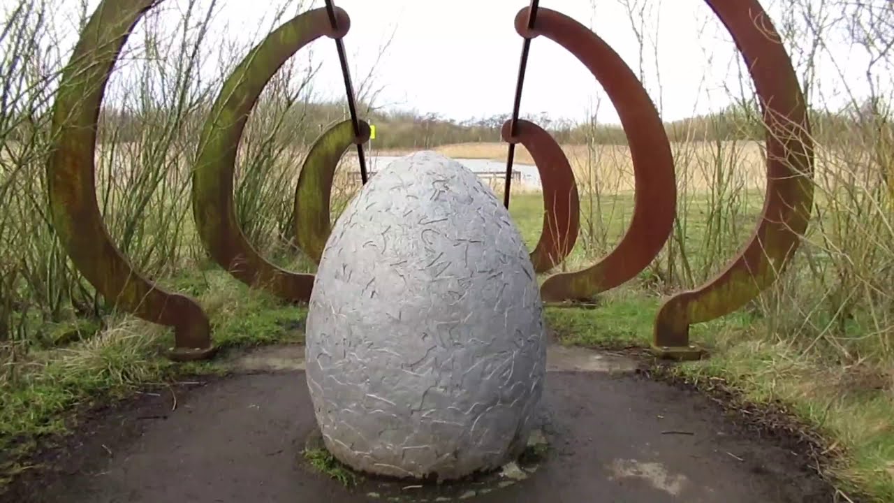 A Walk in Rainton Meadows