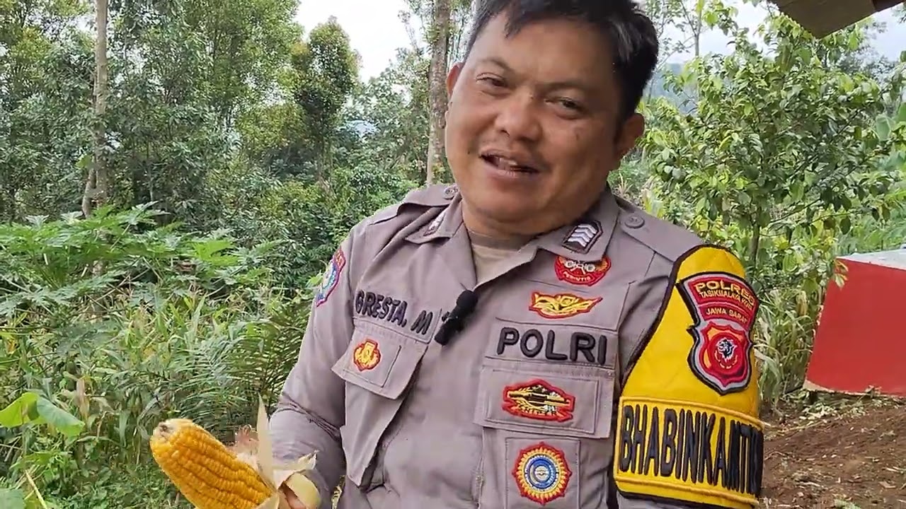 Bhabinkamtibmas Desa Pasirhuni Laksanakan Panen Raya Jagung Kuartal I