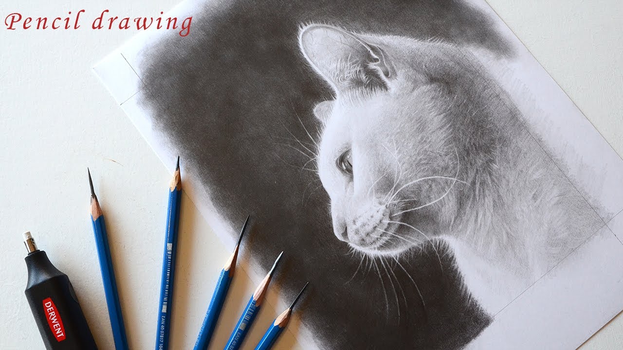 【鉛筆画】猫を超リアルに描く方法「鉛筆デッサン」/イラストメイキング/油絵の下絵/pencil drawing