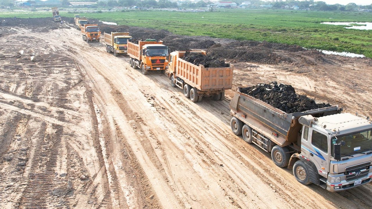 Ultimate Swamp Landfilling Up Impressive Skills Operator Bulldozer Spreading Dirt Truck Unloading