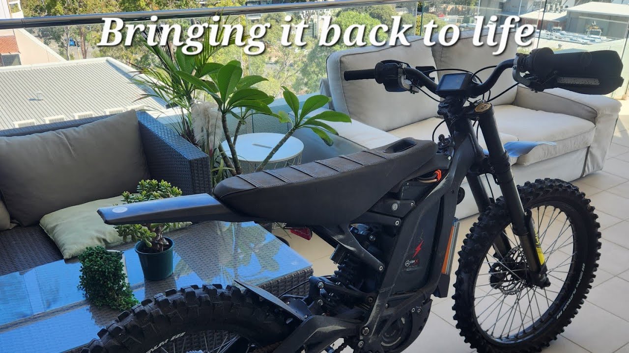 FIXING THE $600 SURRON (PART 1)