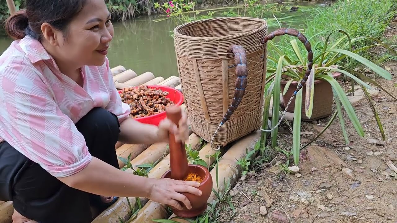 Trap fish to sell in the market - Making sticky rice with turmeric - Daily life  | Lý Tiểu Trang