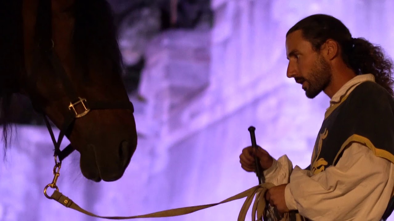 Les écuries du Réal - Spectacle Alès 2018
