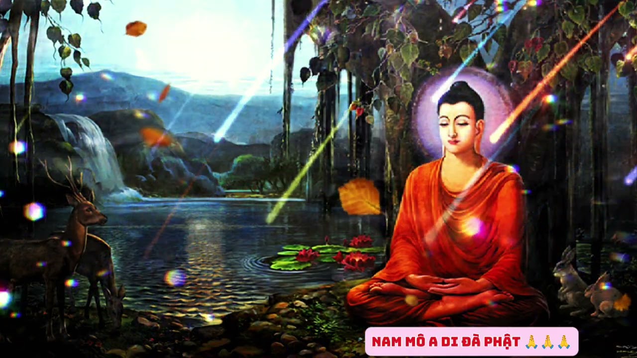 Lời Phật Dạy _ Sống Chết Đã Có Số, Lời Thiết Giản Của Đức Phật 🙏