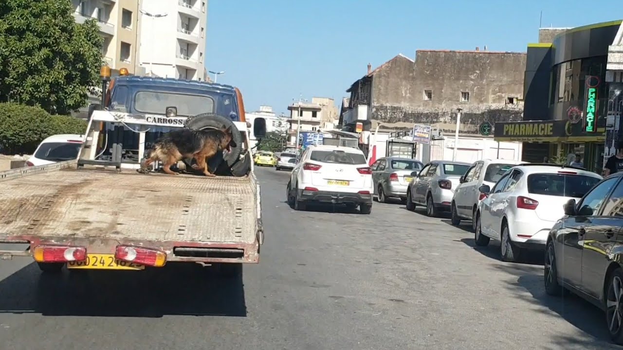 Annaba Algeria - car Driving - 27/07/2022 #algeria #annaba 