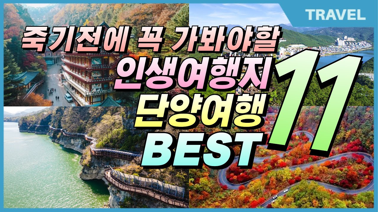 죽기전에 꼭 가봐야할 놓칠수 없는 보랏빛 버베나 꽃과 함께하는 인생 여행지,  #단양여행,  #단양가볼만한곳, #충북여행코스