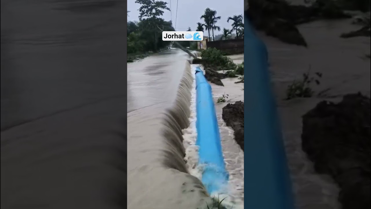 Jorhat Da Gaon Flood #flood #jorhat #jorhatian #assamflood #today