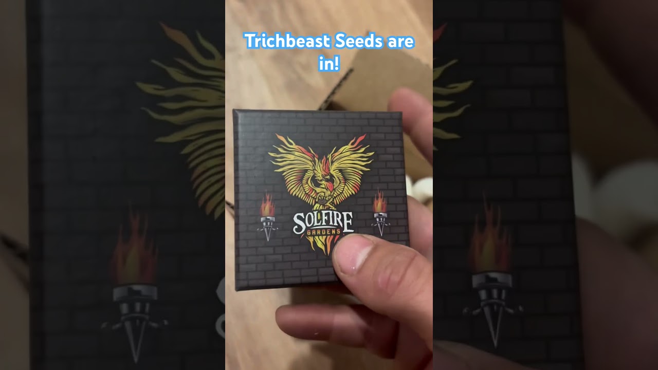 The TrichBeast Genetics have ARRIVED! Thanks Solfire Gardens! #trending #plants #shorts