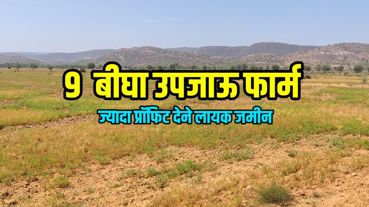 9 Bigha Agriculture Land for sale in Rajasthan | Land for sale