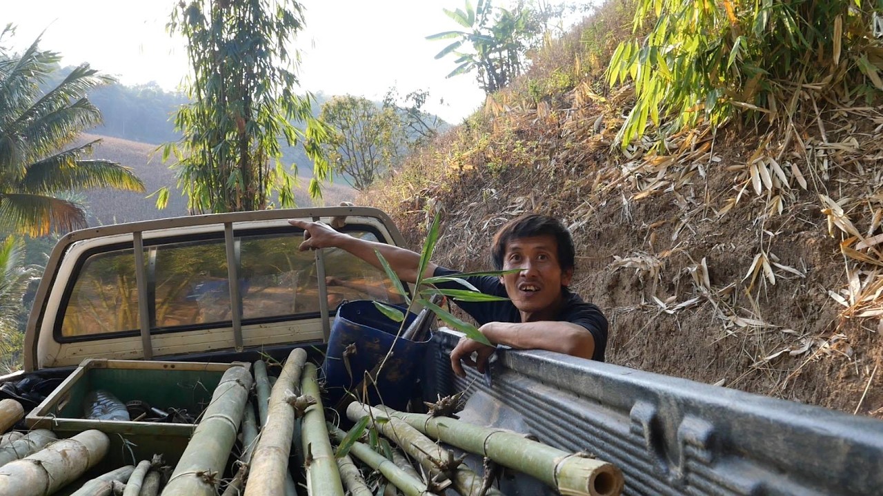 เต๋ากำลังตัดไผ่ทำรั้วกั้นทุเรียน ให้เต๋าบอกทางไปต่อไก่