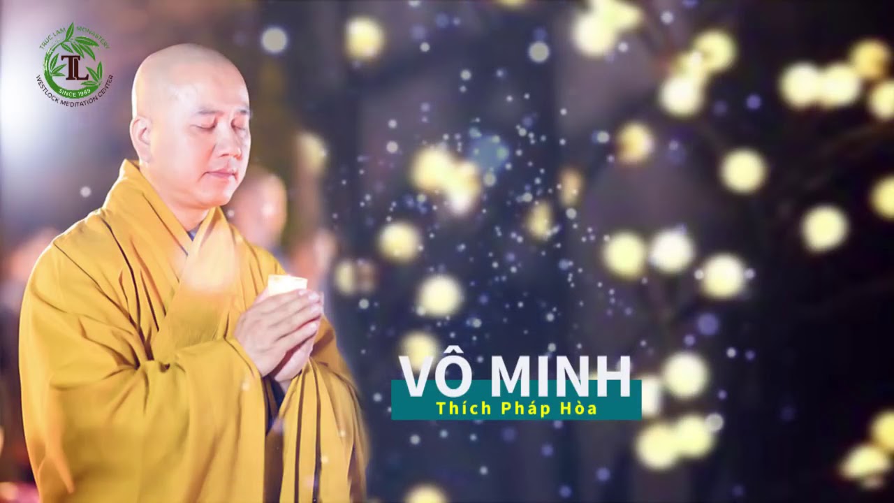 Diệt trừ VÔ MINH    Thầy Thích Pháp Hòa hay quá