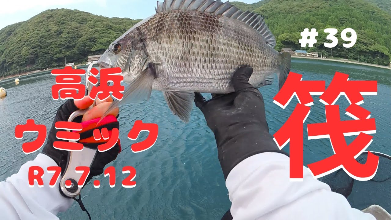 【かかり釣り】福井県高浜町にあるウミックさんに行ってきました～