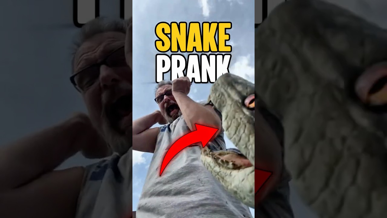 Funniest Snake Pranks 🤣😭