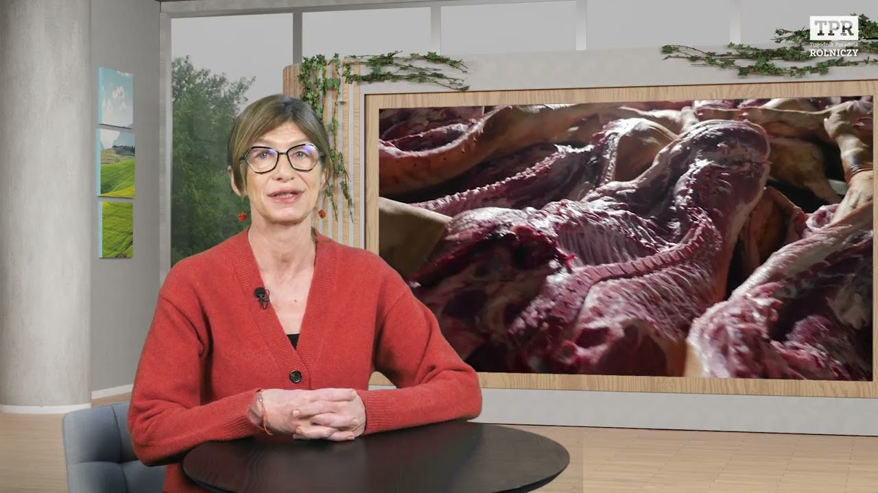 Ceny zbóż w górę, trzoda tanieje, saletra drożeje [Raport rynkowy 16.01.2026 r.]