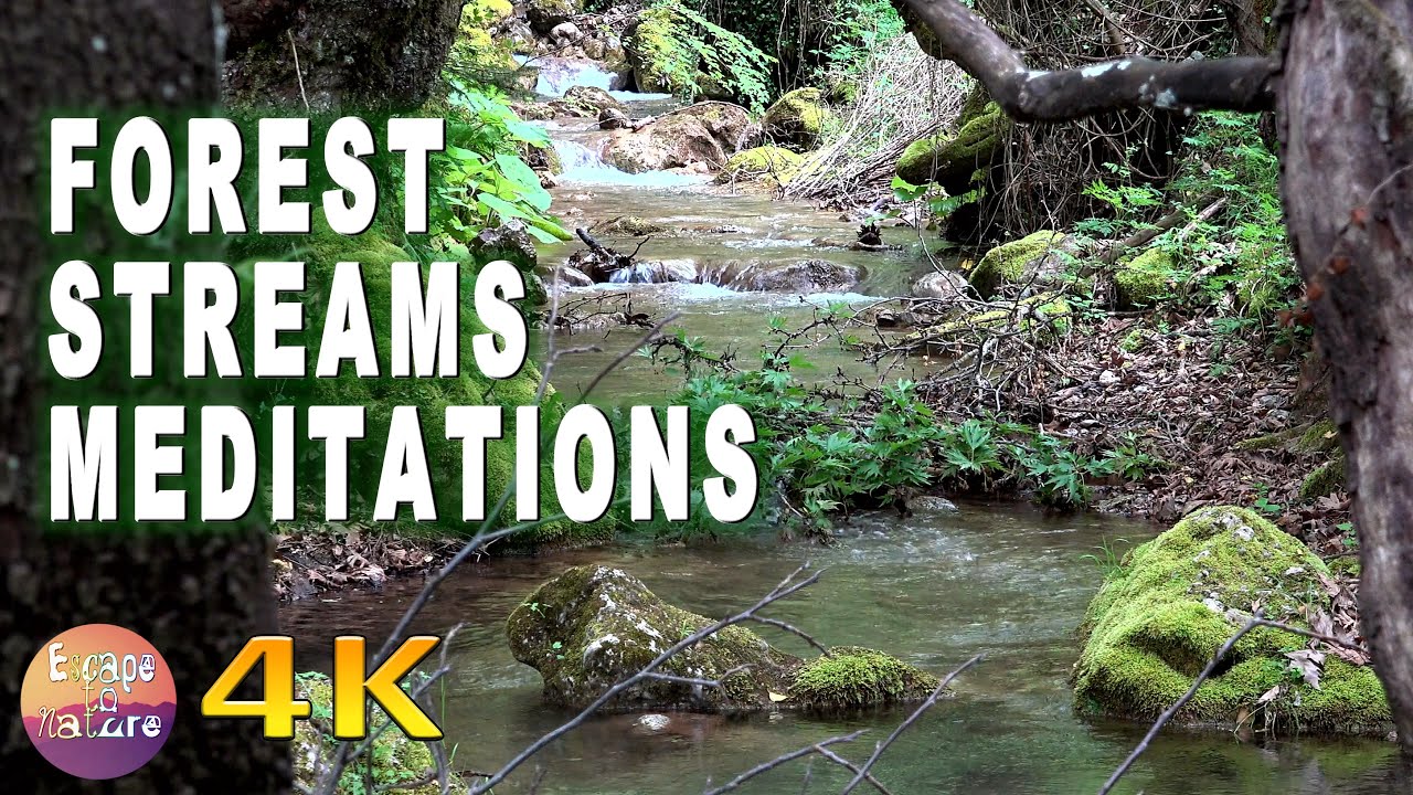 4K 🟡 30 Min Relax 021 - Forest Streams Meditations - Streams, Birds, Nature's Unseen Melodies