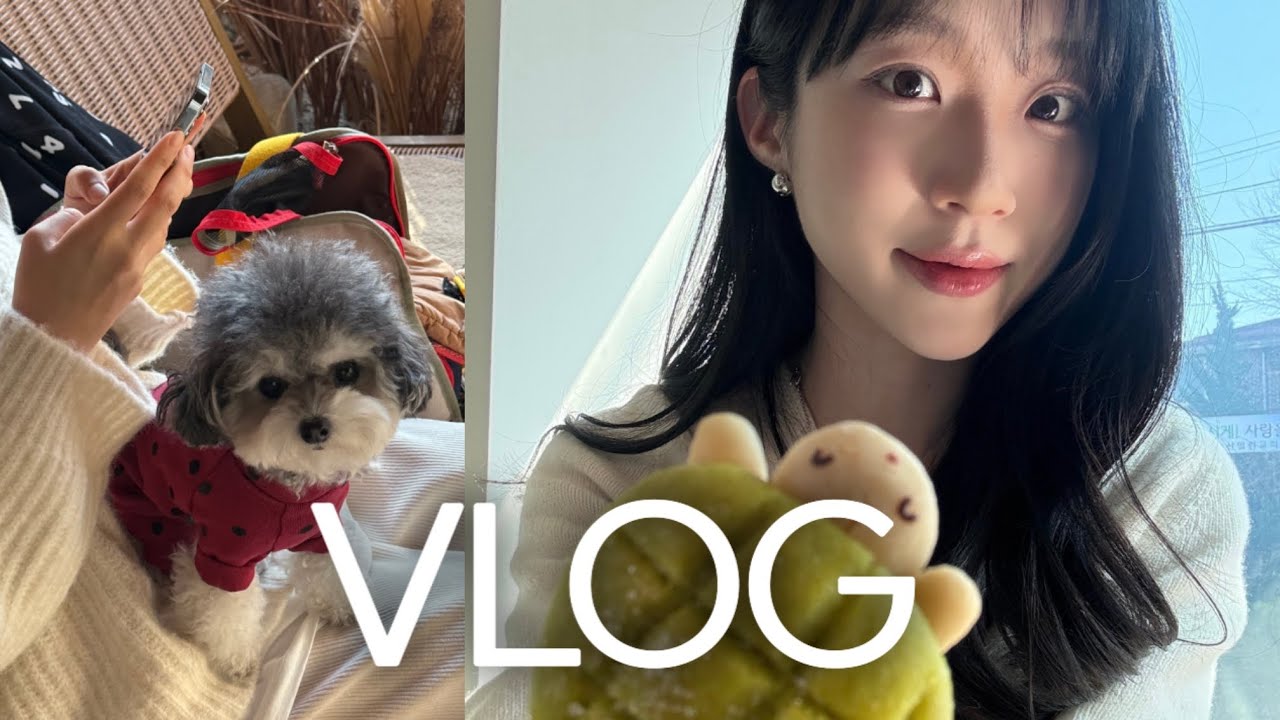 [vlog] 방학한 교사 브이로그 | 보늬밤 만들기🌰| 타니랑 전주 먹방여행(우신탕, 인생 닭발, 베타랑 칼국수, 진미집) |미역국에 불닭볶음탕면까지 먹고 다이어트 망한 썰..^^
