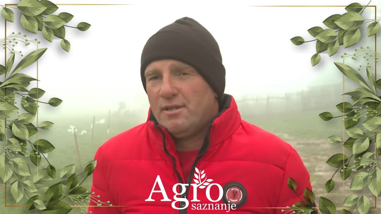  Priče sa katuna Ravno, sela Javorje, Gornjeg polja i Novog sela  - AGROSAZNANJE