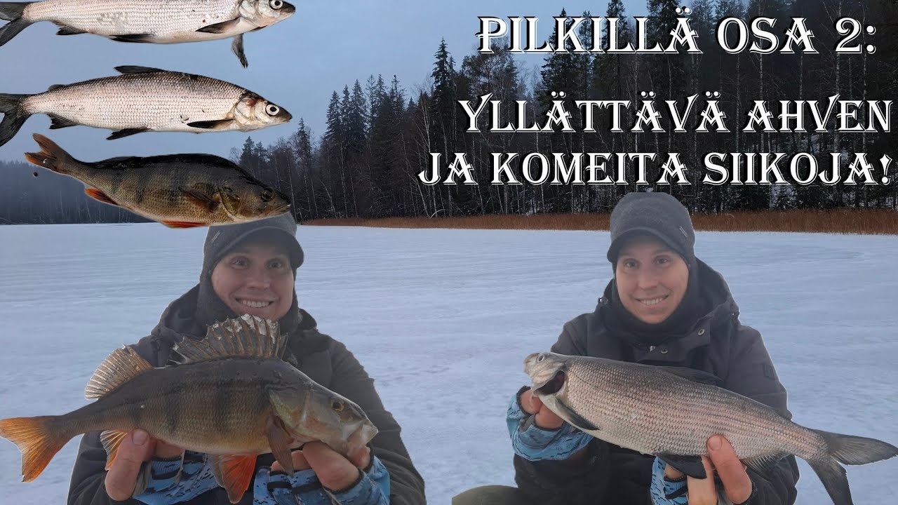 PILKILLÄ OSA 2: 🐟 YLLÄTTÄVÄ AHVEN KOLMISOPESTA❄️ AJOAHVENTA JA KOMEET SIIAT JOULUKSI!!!!