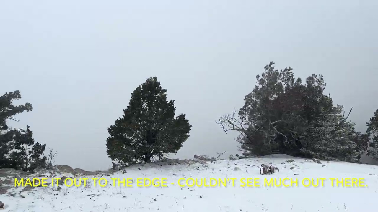 Short Snowy Adventure