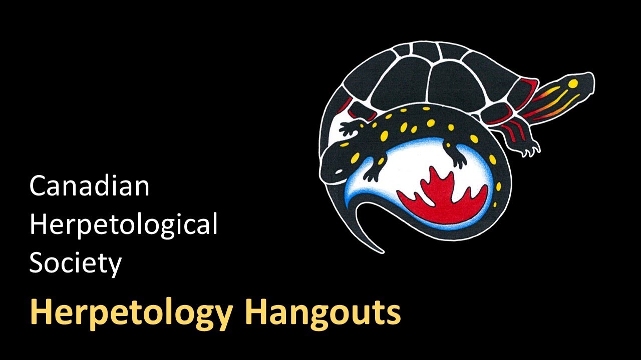 Herpetology Hangouts | February 16, 2022 | Amphibian Conservation Action Plan