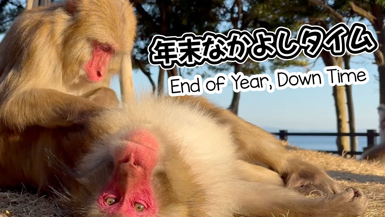 年末のなかよしタイム