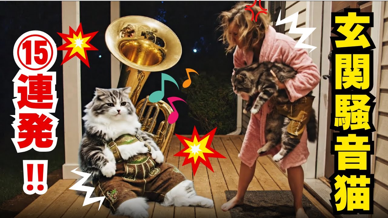 玄関前騒音猫15連発！！