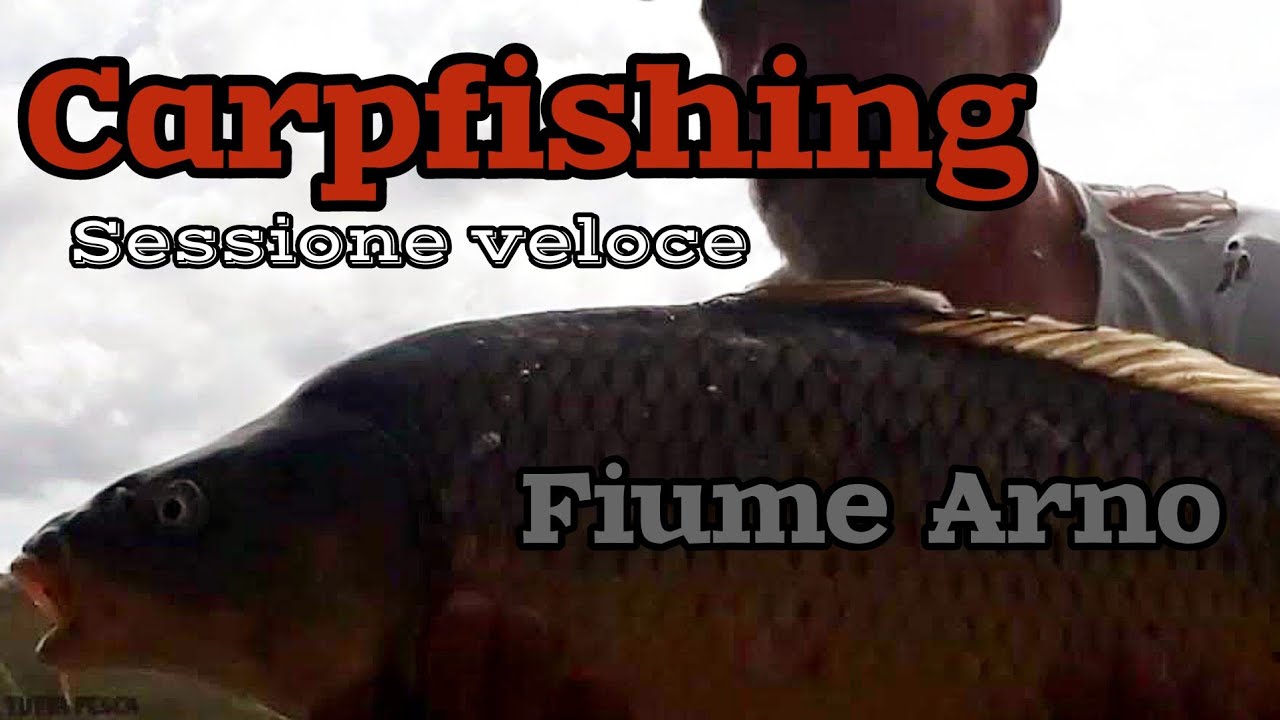 Carpfishing sessione veloce...