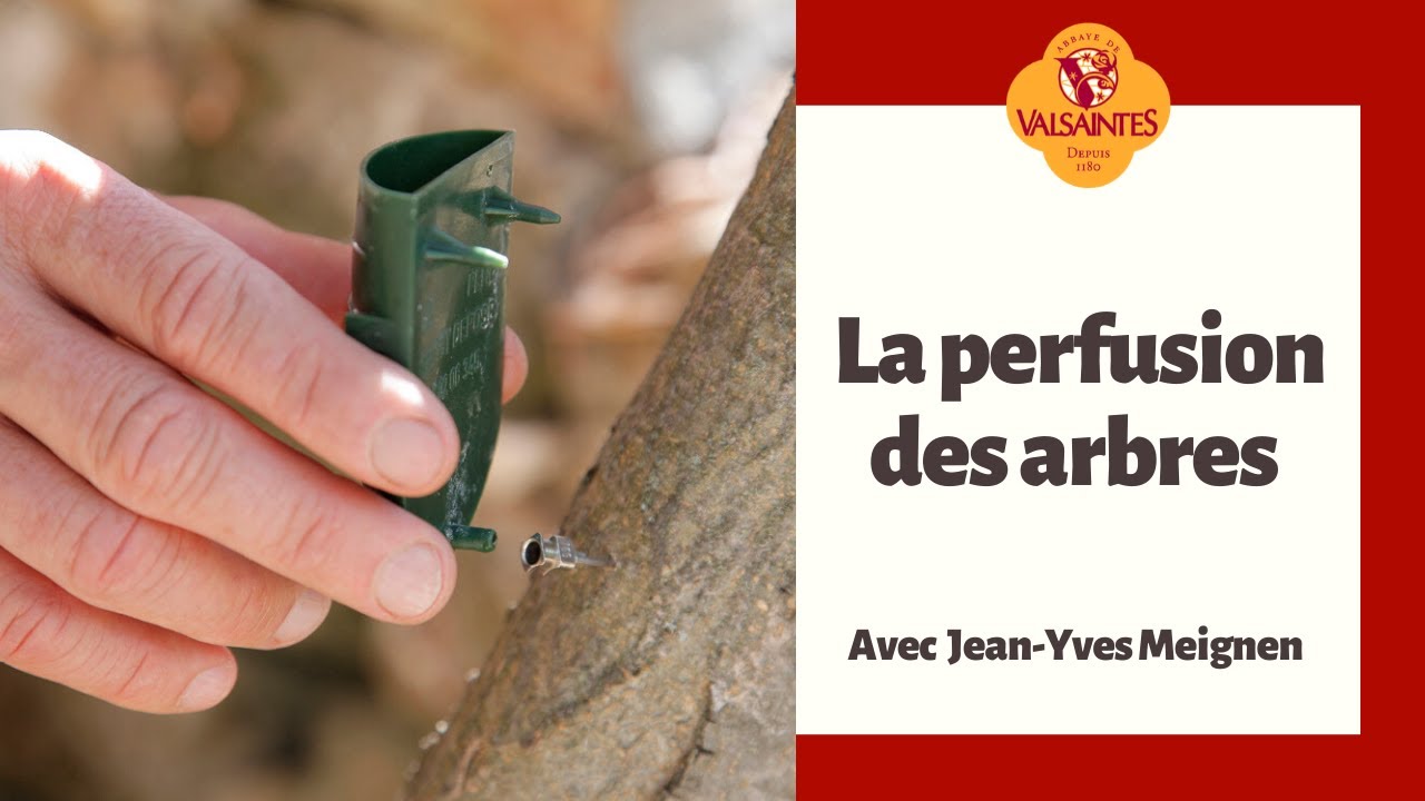 Soigner ses arbres avec des perfusions d'huiles essentielles - Perfuseur Petiot -  Valsaintes