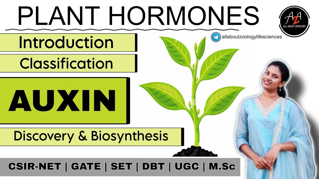 PLANT HORMONES - AUXIN DETAILED EXPLANATION || PLANT PHYSIOLOGY || CSIR-NET LIFECSIENCES 