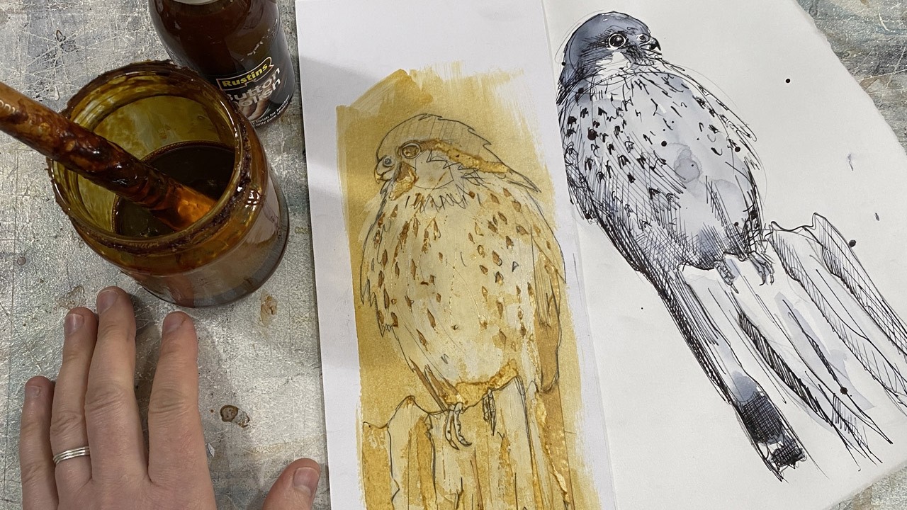 Kestrel collagraph By Jenny McCabe from sketch to print
