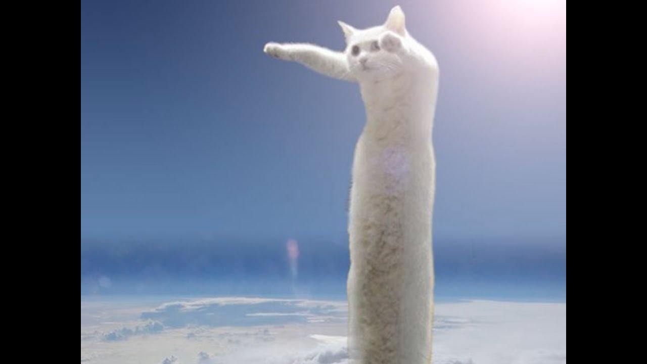 【Longcat】一筆書き × ねこ！ (=^・^=)（ビデオクリップ・2026/1/22 PM10時）