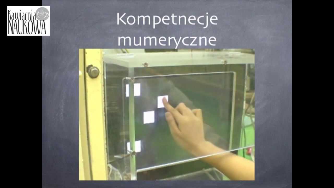 Na tropie zwierzęcego umysłu [cz.I] - dr Maciej Trojan