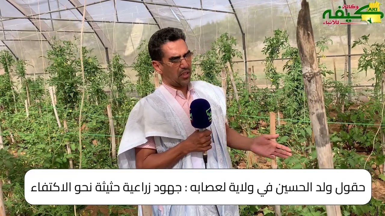 ١٢ يناير، ٢٠٢٦