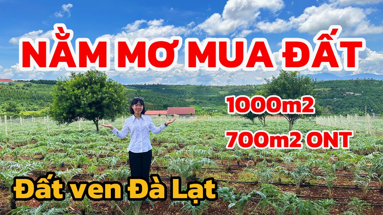 Đất ven Đà Lạt| Lâu lắm rồi mới thấy một mảnh đất làm mình nhớ mãi như vậy! Quá đẹp!