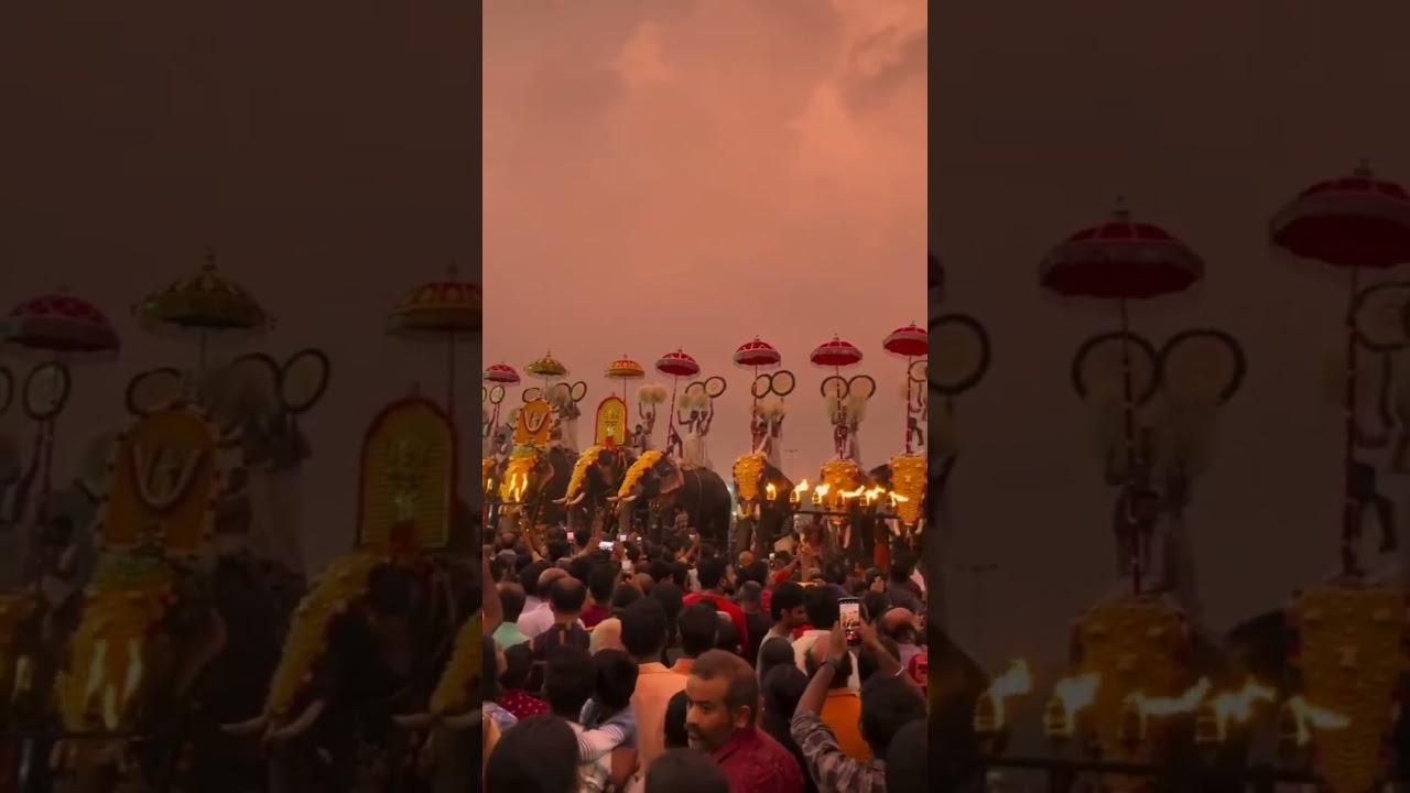 2025 arattupuzha pooram Morning vibes 🥳🌄🔥#arattupuzhapooram
