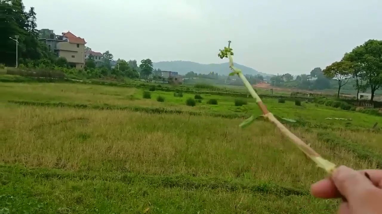 这风水宝地山环水抱，来龙低调有力，就是朝山有点远，不够清秀吗