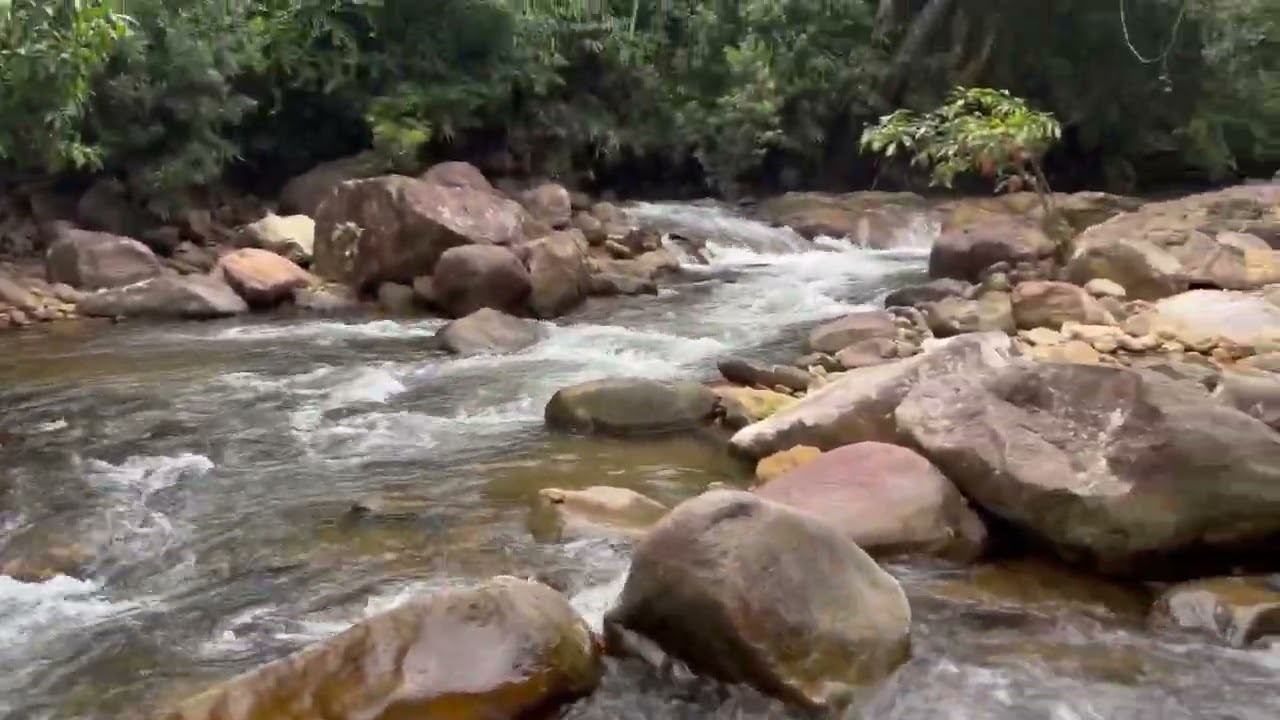 Kallar River - Golden valley Ponmudi Hills, Trivandrum Kerala - HD