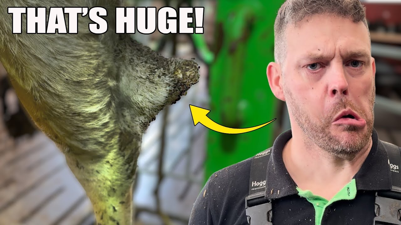 у нее ОГРОМНАЯ НОВАТОРИЯ на ноге!!!