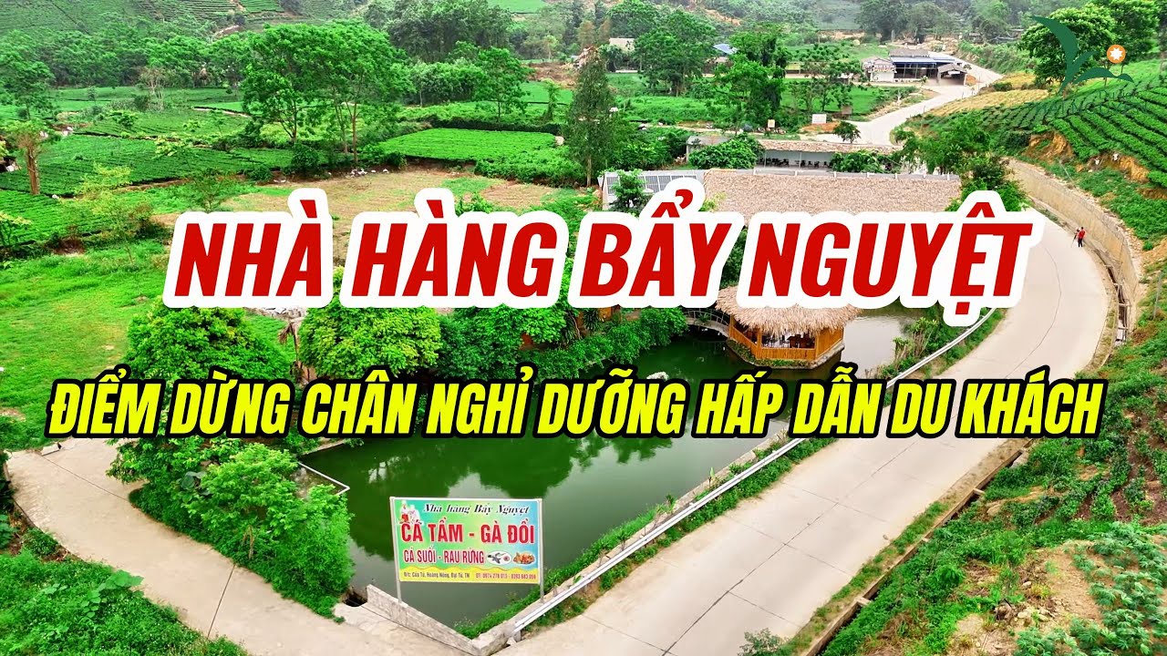 Nhà hàng Bẩy Nguyệt - Điểm dừng chân nghỉ dưỡng hấp dẫn du khách